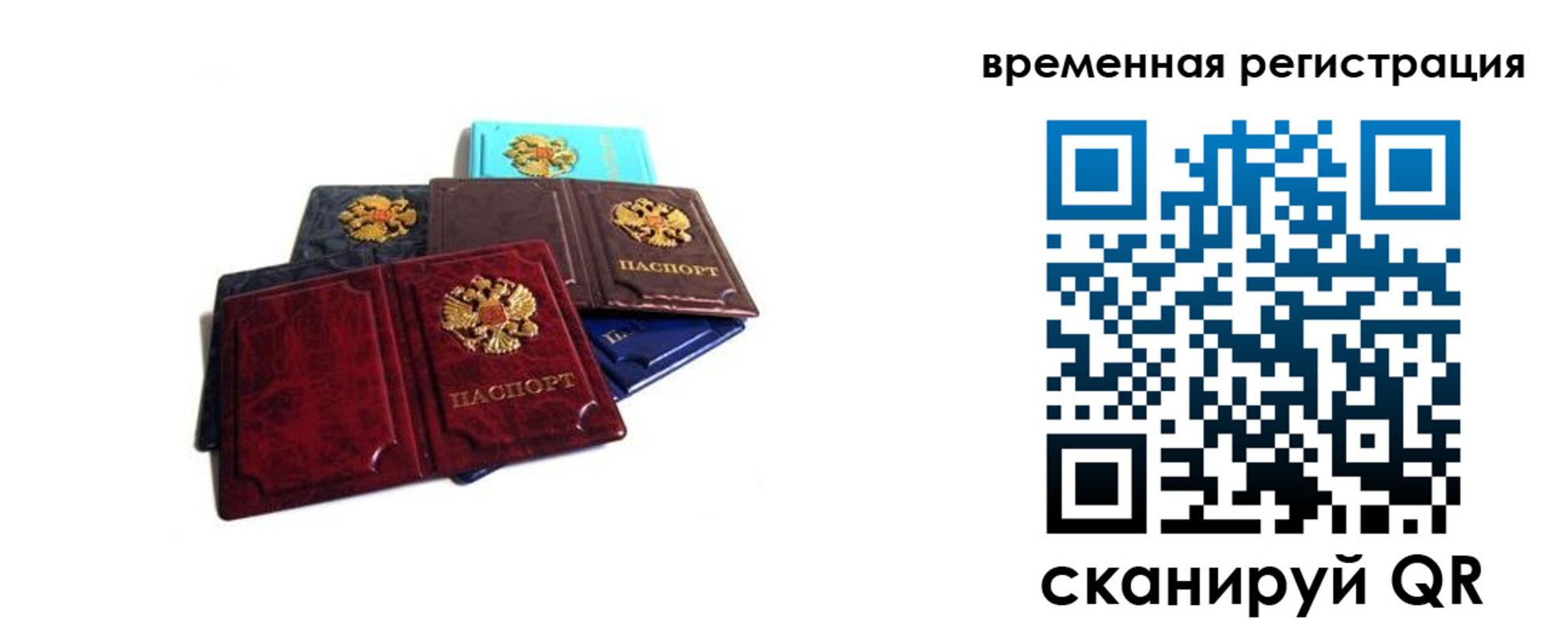 прописка гарантия в Лыткарино